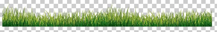 Grasses Green PNG, Clipart, Artificial Grass, Cartoon Grass, Creative Grass, Family, Grass Free PNG Download
