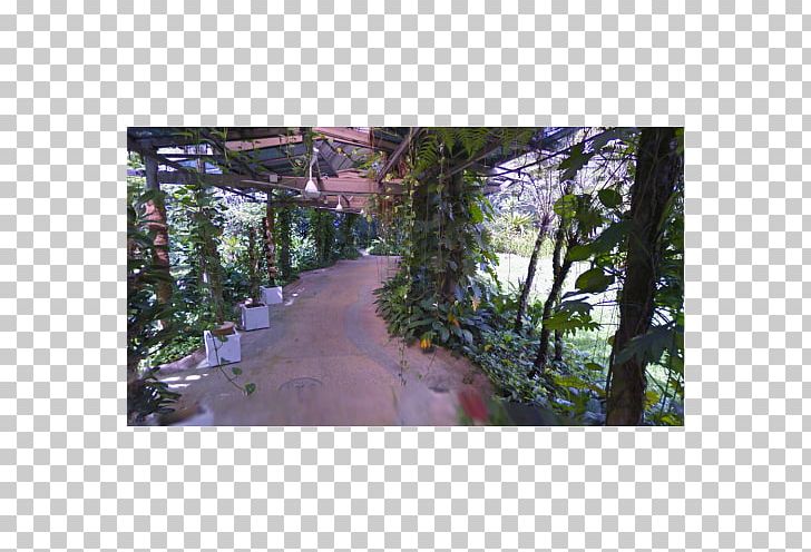 Lake Gardens PNG, Clipart, Botanical Garden, Elliptical Trainers, Exercise, Exercise Bikes, Flora Free PNG Download
