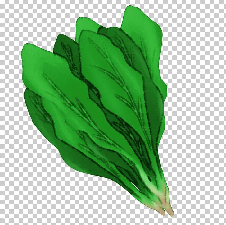 Leaf Glove Safety PNG, Clipart, Glove, Green, Leaf, Safety, Safety Glove Free PNG Download