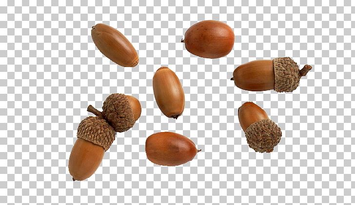 Oak Quince Tree Food Green PNG, Clipart, Acorn, Autumn, Digit, Face, Food Free PNG Download