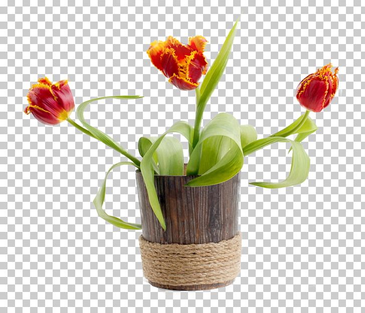 Photography Flower PNG, Clipart, Ancient Wind, Artificial Flower, Cachepot, Cartoon, Copyright Free PNG Download