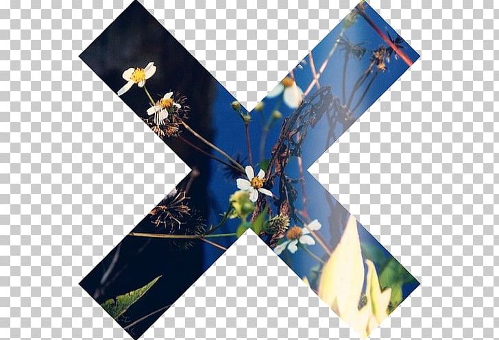 RhymeZone Reblogging Tumblr The Xx PNG, Clipart, Flower, Inpost Sa, Miscellaneous, Music, Others Free PNG Download