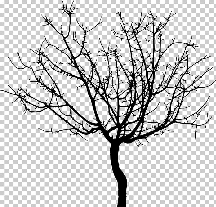 Twig Tree PNG, Clipart, Black And White, Branch, Cappadocia, Drawing ...