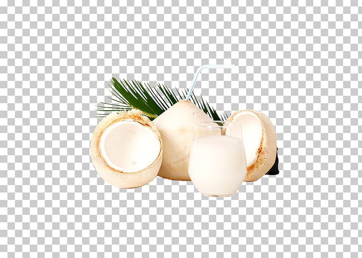 Coconut Water Nata De Coco Coconut Milk PNG, Clipart, Auglis, Carbohydrate, Coconut, Coconut Oil, Eleocharis Dulcis Free PNG Download