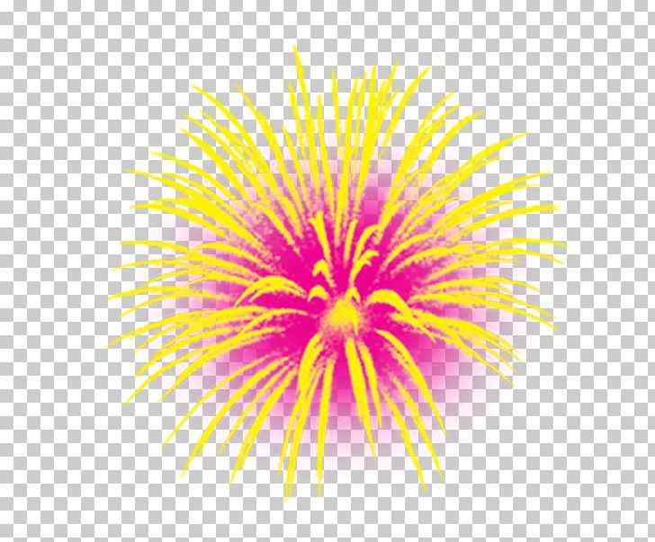 Fireworks Chinese New Year Traditional Chinese Holidays PNG, Clipart, Cartoon Fireworks, Dahlia, Daisy Family, Firework, Fireworks Vector Free PNG Download