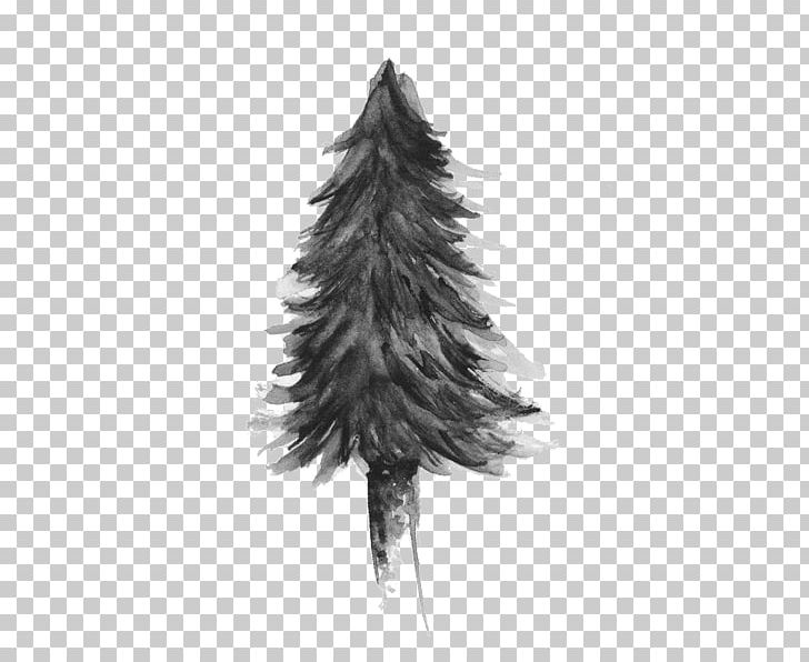 Graphic Design Columbia Christmas Tree Brand PNG, Clipart, Art, Black And White, Brand, Christmas, Christmas Decoration Free PNG Download