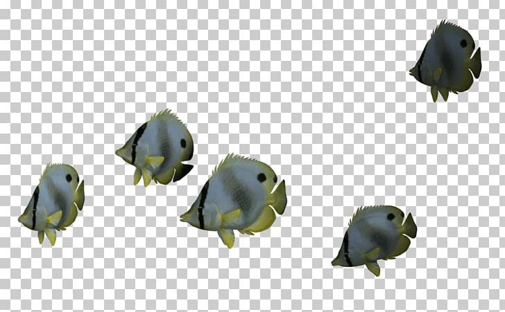 Saltwater Fish PNG, Clipart, Animals, Animation, Computer Icons, Download, Encapsulated Postscript Free PNG Download