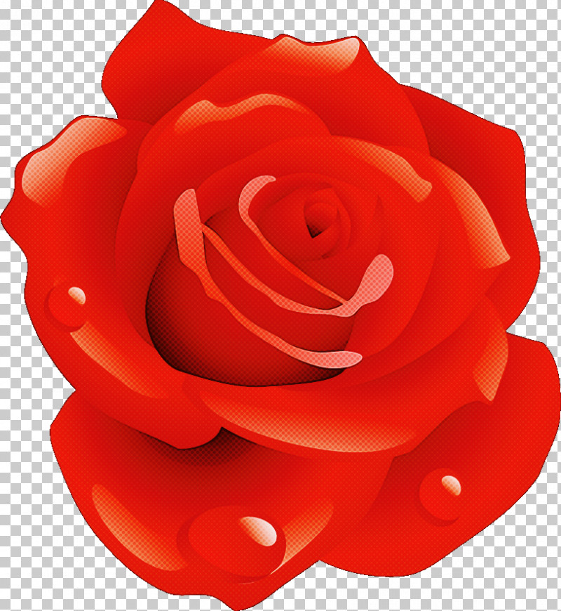 One Flower One Rose Valentines Day PNG, Clipart, Artificial Flower, Begonia, Camellia, China Rose, Cut Flowers Free PNG Download