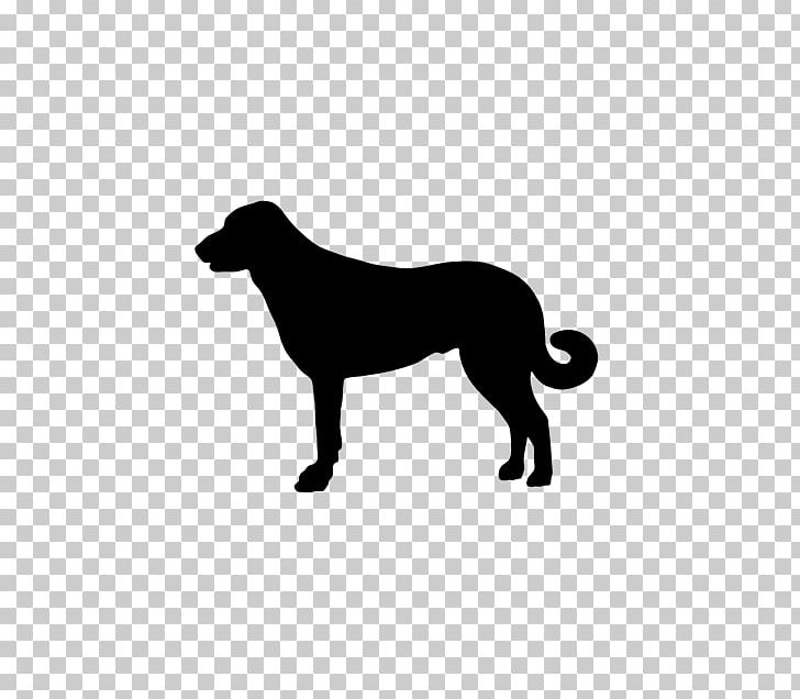 Dobermann Boxer Horse Pet Dog Breed PNG, Clipart, Black, Black And White, Boxer, Carnivoran, Cat Like Mammal Free PNG Download