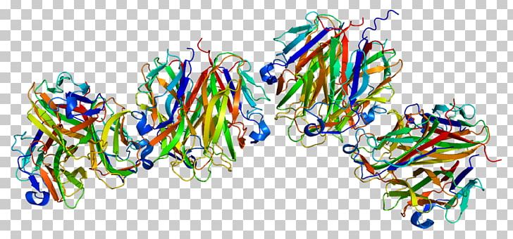Ectodysplasin A Receptor Transmembrane Protein Tumor Necrosis Factor Superfamily PNG, Clipart, Antibody, Body Jewelry, Cell Membrane, Gene, Genecards Free PNG Download