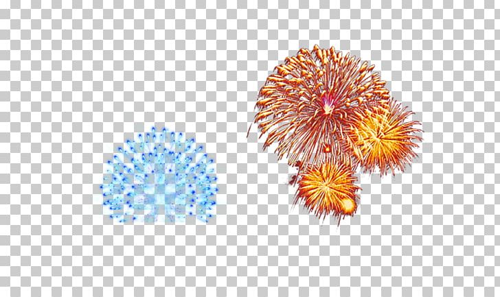 Fireworks Firecracker PNG, Clipart, Blue, Cartoon Fireworks, Chinese New Year, Computer Wallpaper, Download Free PNG Download