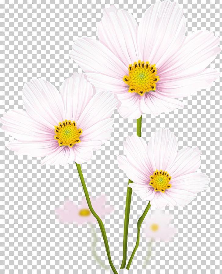 Flower Graphic Design PNG, Clipart, Annual Plant, Blossom, Cdr, Chrysanths, Color Free PNG Download