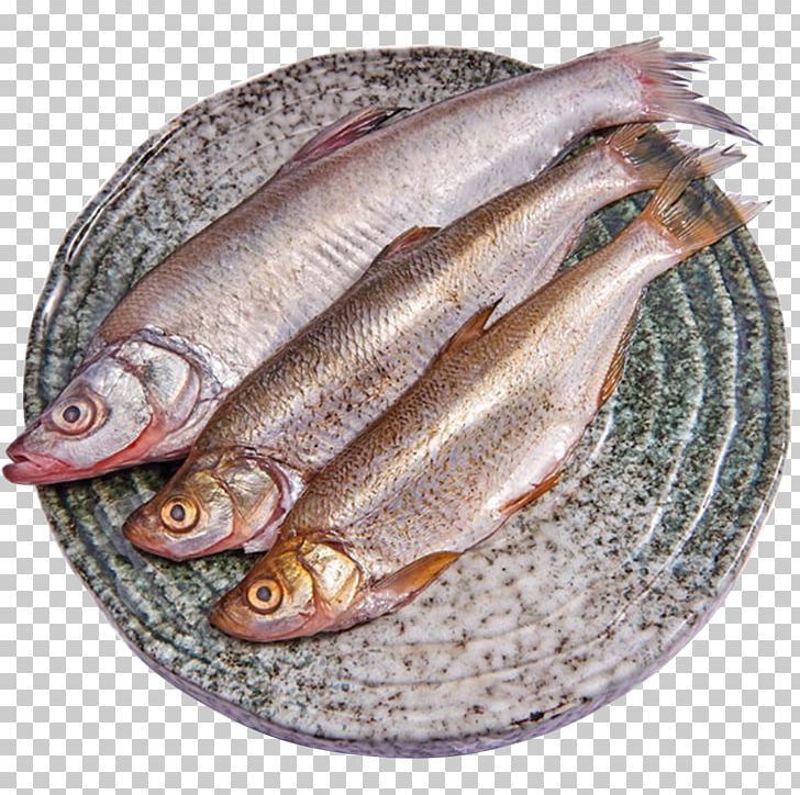 Kipper Soused Herring Anchovies As Food Wild Fisheries PNG, Clipart, Anchovy, Anchovy Food, Animals, Animal Source Foods, Aquaculture Free PNG Download