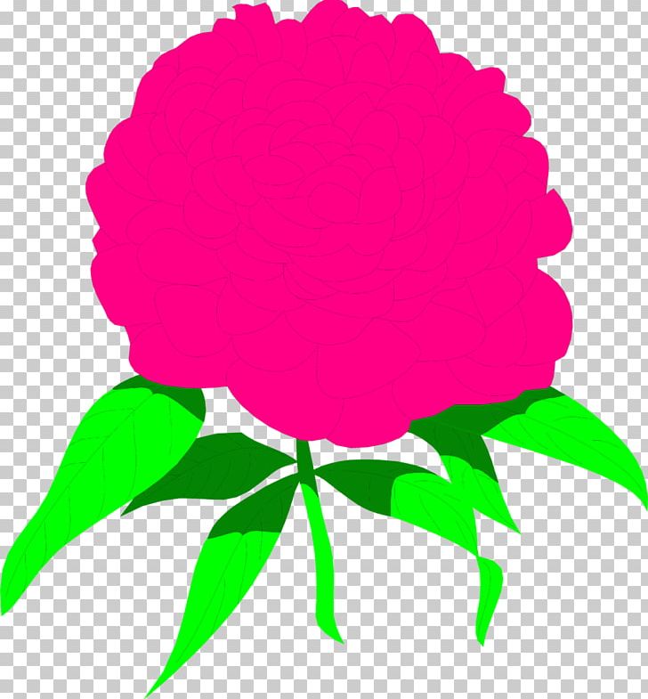 Peony Watercolor Painting Pink Flowers Drawing PNG, Clipart, Circle, Creative Market, Download, Drawing, Flora Free PNG Download