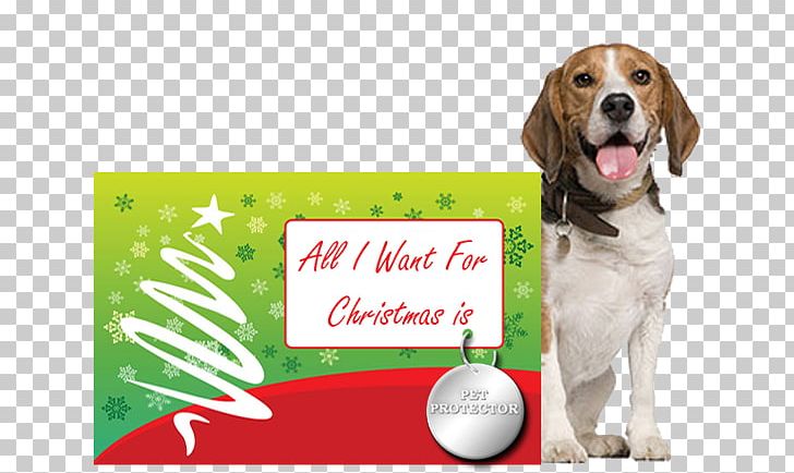 Pet Sitting Puppy Dachshund Cat Bark PNG, Clipart, Advertising, Bark, Beagle, Carnivoran, Cat Free PNG Download