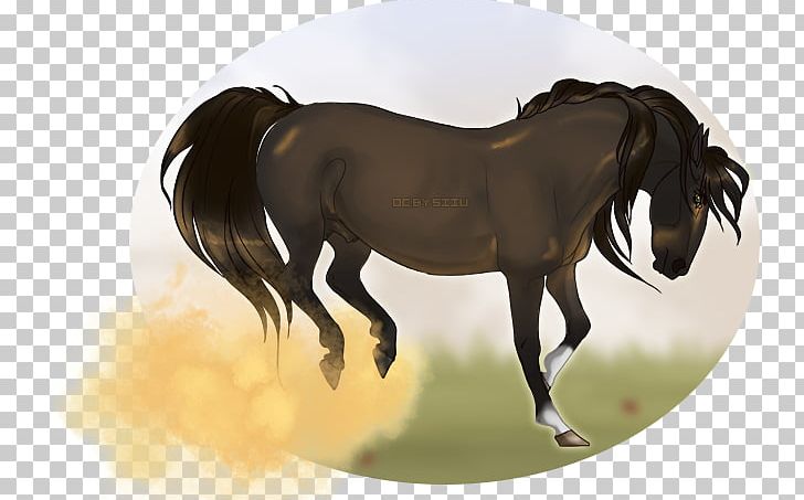 Mustang Stallion Mare Bridle Rein PNG, Clipart, Bridle, Halter, Horse, Horse Like Mammal, Horse Supplies Free PNG Download