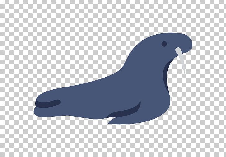 Sea Lion Walrus Computer Icons PNG, Clipart, Animal, Animals, Beak, Bird, Computer Icons Free PNG Download