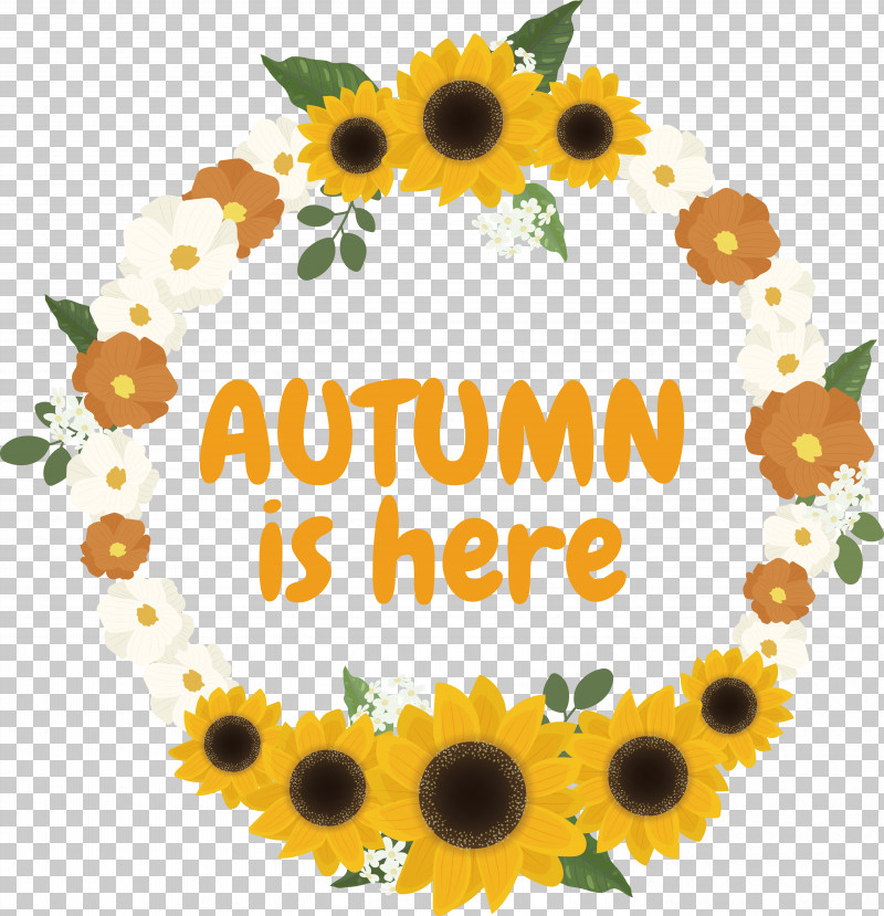Picture Frame PNG, Clipart, Autumn, Common Sunflower, Floral Design, Flower, Garland Free PNG Download