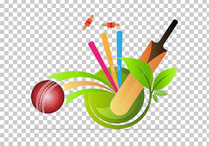 Big Bash League Indian Premier League Cricket Balls Sports League PNG, Clipart, Ball Clipart, Balls, Big Bash League, Champion, Championship Free PNG Download