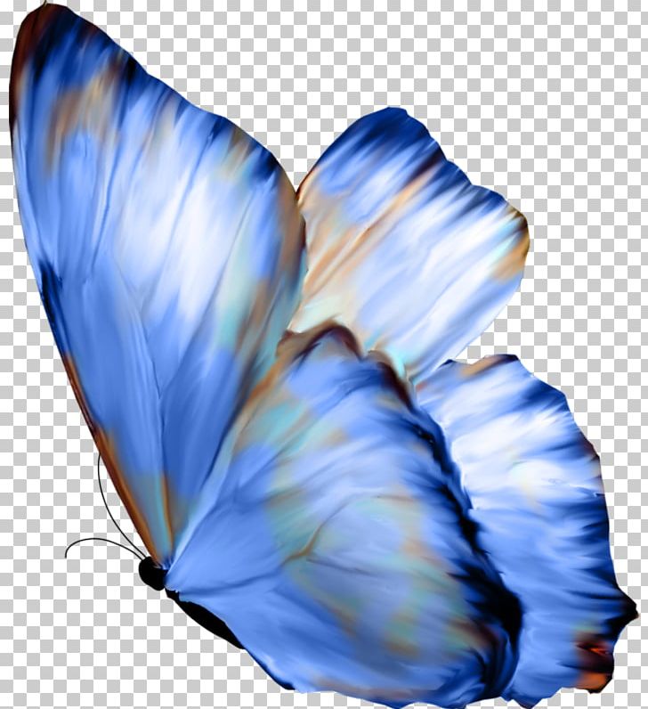 Butterfly Papillon Dog Celastrina Ladon PNG, Clipart, Art, Beautiful, Blue, Blue Abstract, Blue Abstracts Free PNG Download