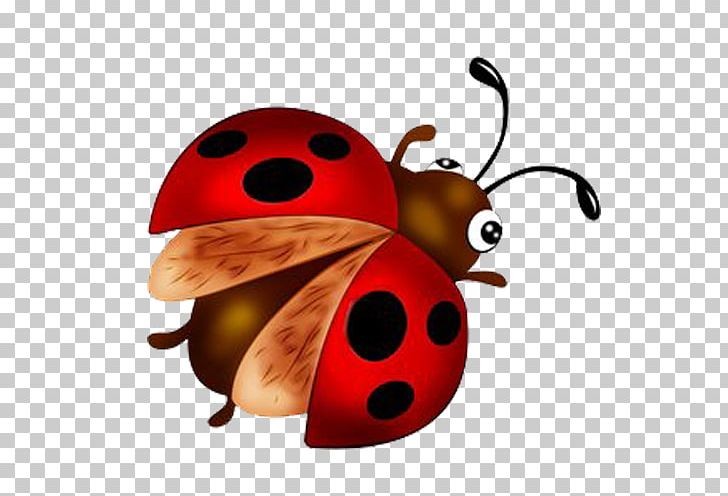 Coccinella Septempunctata Insect Animation PNG, Clipart, Adobe Flash, Arthropod, Beetle, Cartoon Ladybug, Coccinella Free PNG Download