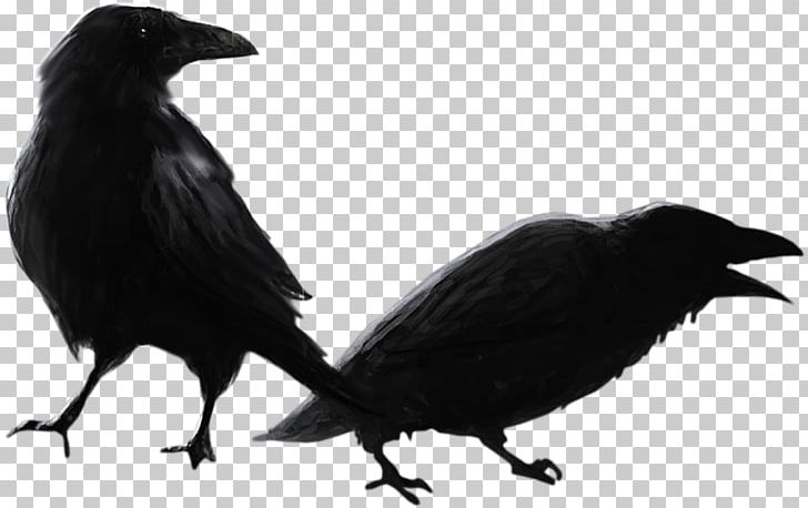 Desktop YouTube Stencil Bird PNG, Clipart, Beak, Bird, Black And White, Common Raven, Crow Like Bird Free PNG Download