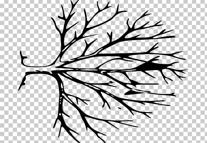 Tree Trunk Branch PNG, Clipart, Artwork, Black, Black And White, Branch, Color Free PNG Download