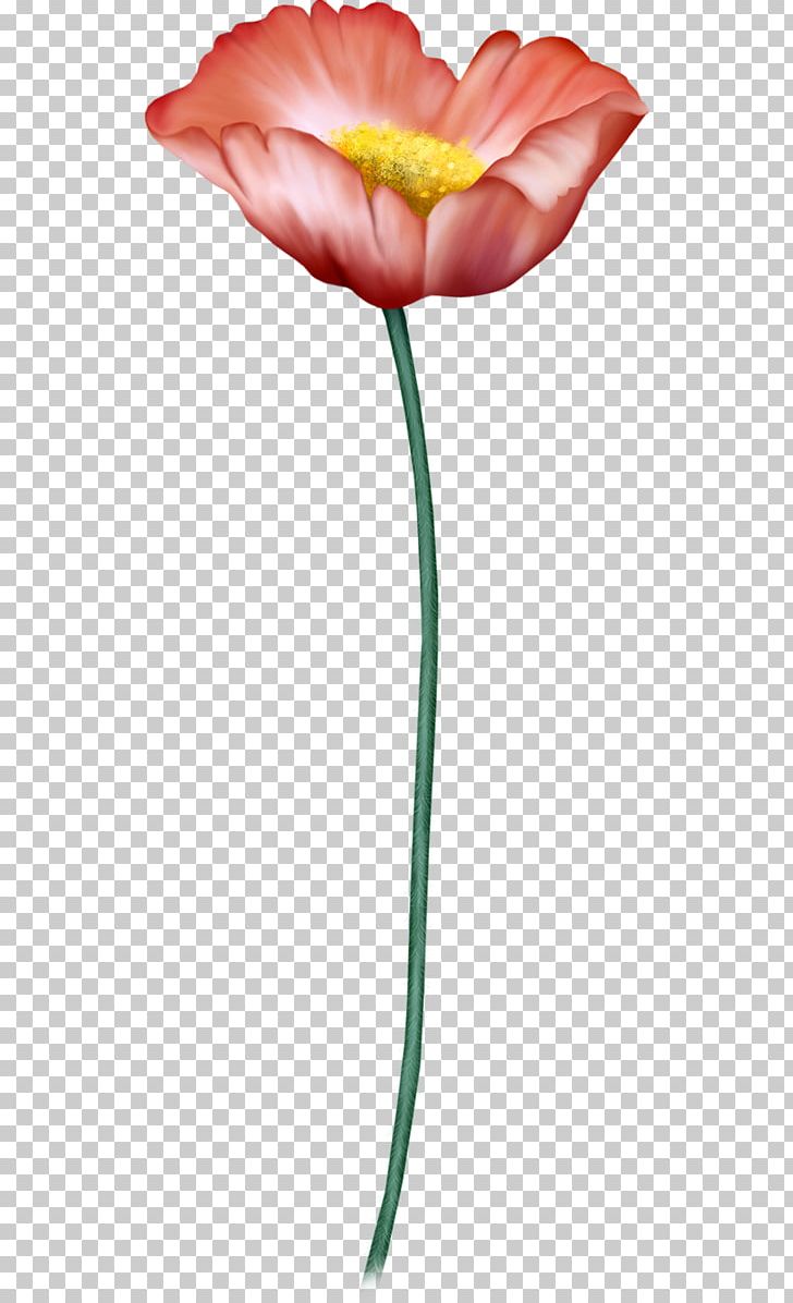 Garden Roses Tulip PNG, Clipart, Bird, Cicek, Cicek Resimleri, Cut Flowers, Digital Image Free PNG Download