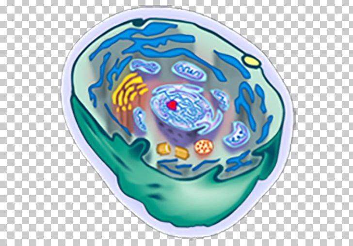 Organism Cèl·lula Animal Cell PNG, Clipart, Animal, Apk, App, Cell, Logo Free PNG Download