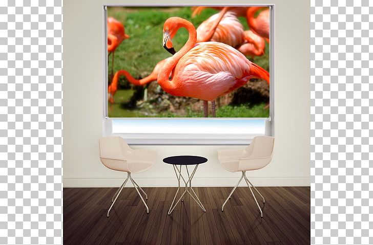 Plastic Flamingo Bird Greater Flamingo PNG, Clipart, Bird, Desktop Wallpaper, Download, Flamingo, Galapagos Islands Free PNG Download