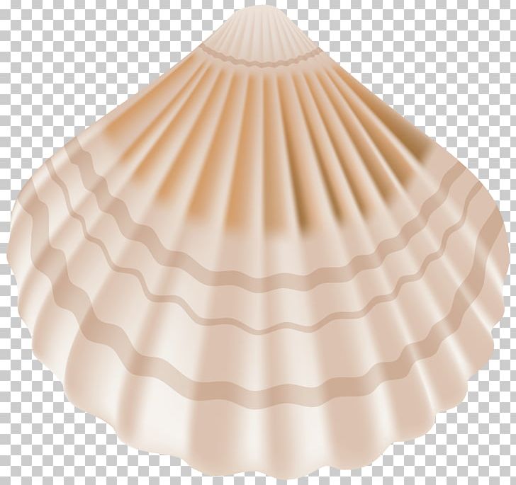 Portable Network Graphics Seashell Illustration PNG, Clipart, Animals, Art, Clam, Collection, Drawing Free PNG Download