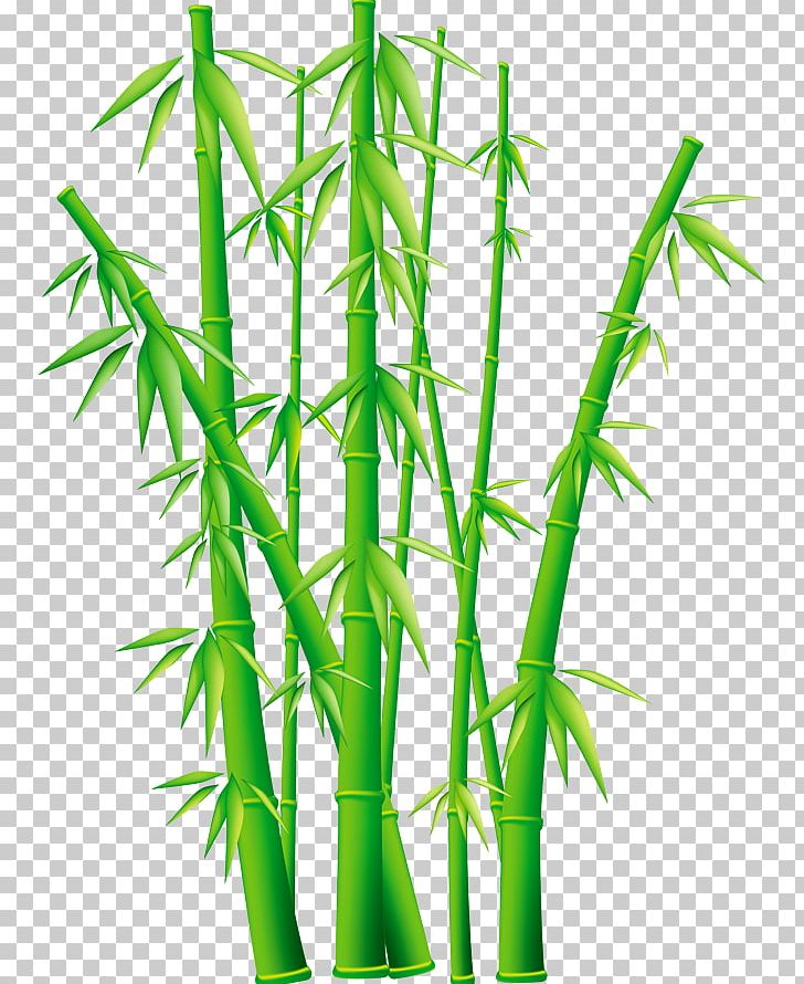 Bamboo Free Content Giant Panda PNG, Clipart, Bamboo, Bamboo Border, Bamboo Frame, Bamboo House, Bamboo Leaf Free PNG Download