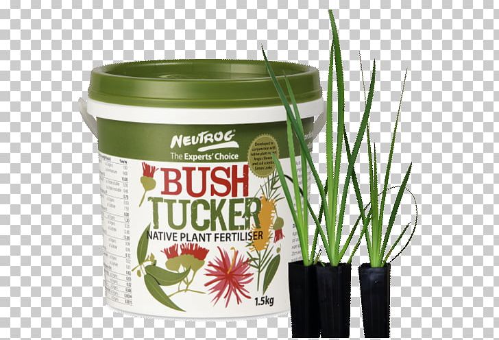 Bush Tucker Wight & Emmett Grasses Plant Flowerpot PNG, Clipart, Australia, Bush, Bush Tucker, City Of Bunbury, Fertilisers Free PNG Download