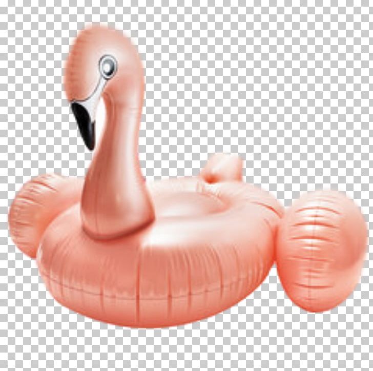 Flamingos Inflatable Swim Ring Swimming Pool Raft PNG, Clipart, Bangle, Brand, Buoy, Flamenco, Flamingos Free PNG Download