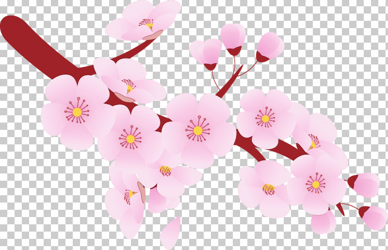 Cherry Blossom PNG, Clipart, Blossom, Branch, Cherry Blossom, Cherry Flower, Floral Free PNG Download