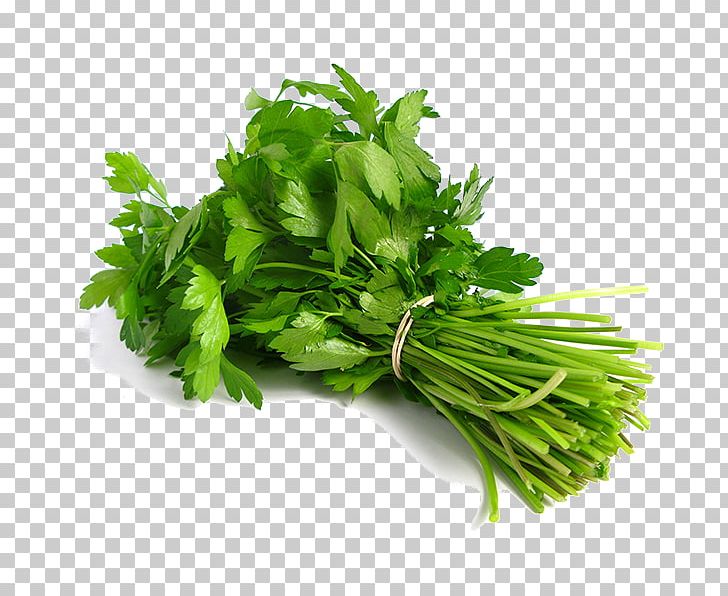 Coriander Indian Cuisine Thai Cuisine Herb Leaf Vegetable PNG, Clipart, Celery, Cooking, Coriander, Curry, Curry Tree Free PNG Download