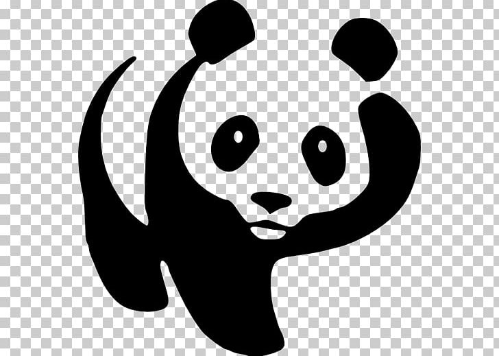 Giant Panda Bear Drawing Cartoon PNG, Clipart, Animals, Art, Artwork, Bear, Black Free PNG Download