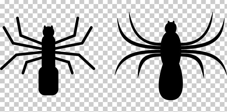 Spider Web PNG, Clipart, Armed Spiders, Artwork, Black And White, Computer Icons, Download Free PNG Download