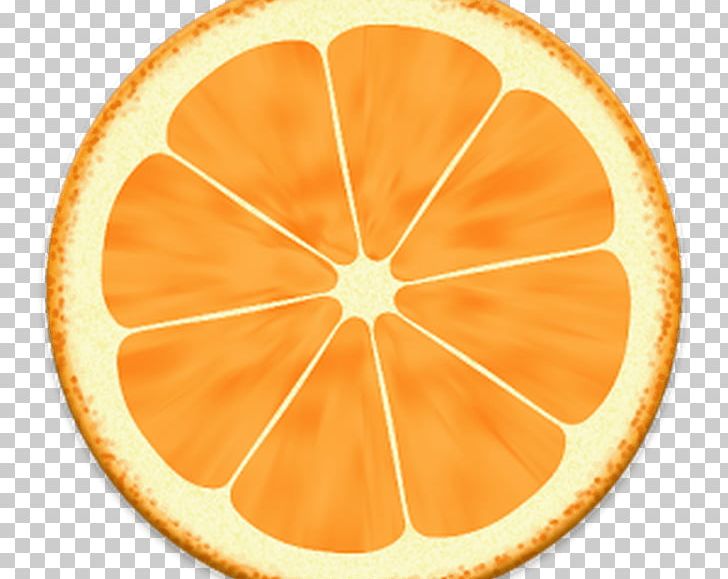Desktop Drawing Orange PNG, Clipart, Circle, Citrus, Company, Desktop Wallpaper, Drawing Free PNG Download
