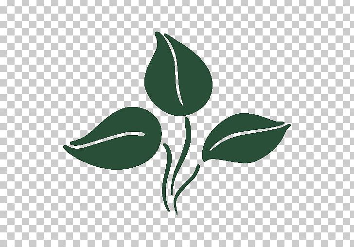 Leaf Plant Stem Mulch Doctor's Lawn & Landscape Branch PNG, Clipart,  Free PNG Download