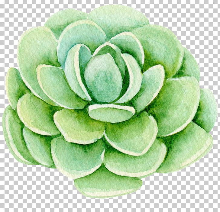 Succulent Plant Flower PNG, Clipart, Clip Art, Cut Flowers, Download, Flower, Flowerpot Free PNG Download