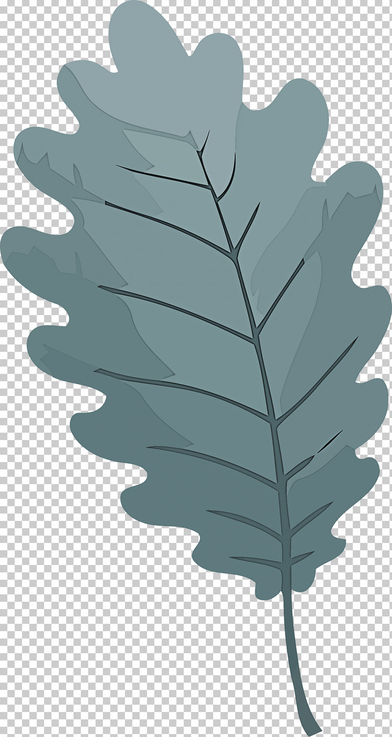 Leaf PNG, Clipart, Leaf, Plant, Tree, Vascular Plant, Woody Plant Free PNG Download