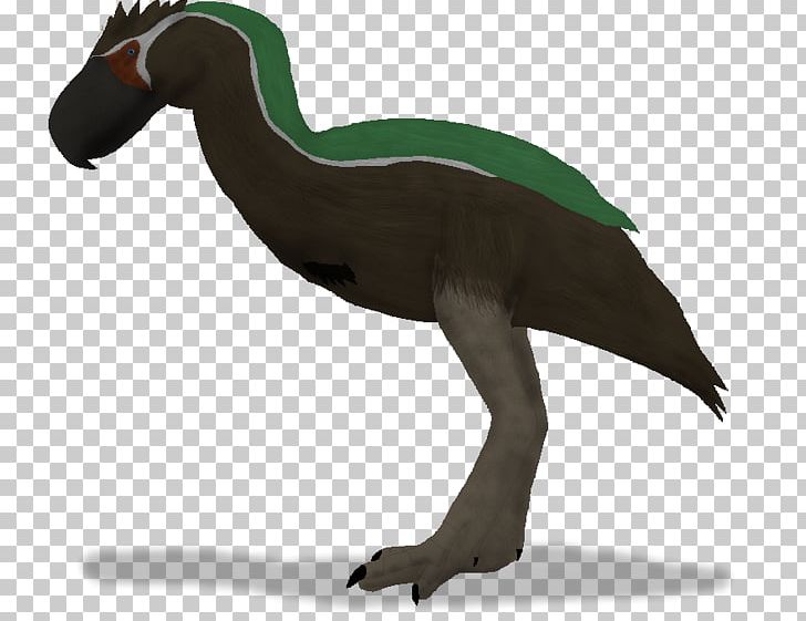 Anatidae Velociraptor Goose Cygnini Duck PNG, Clipart, Anatidae, Animal, Animals, Beak, Bird Free PNG Download