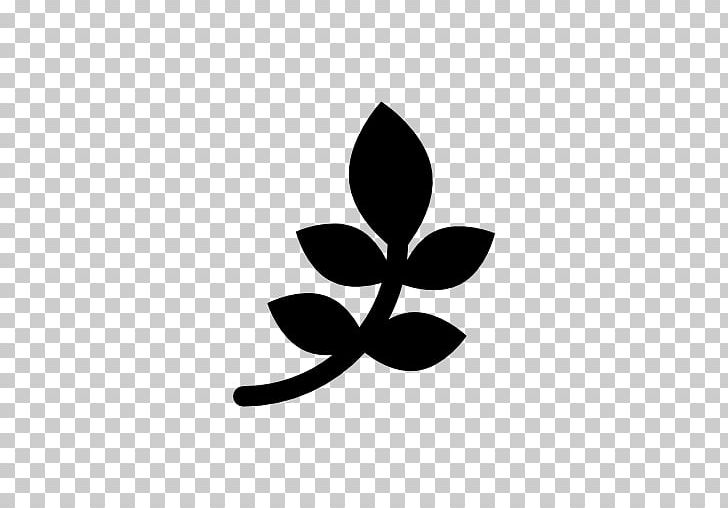 Computer Icons Leaf PNG, Clipart, Black And White, Branch, Computer Icons, Download, Icon Download Free PNG Download