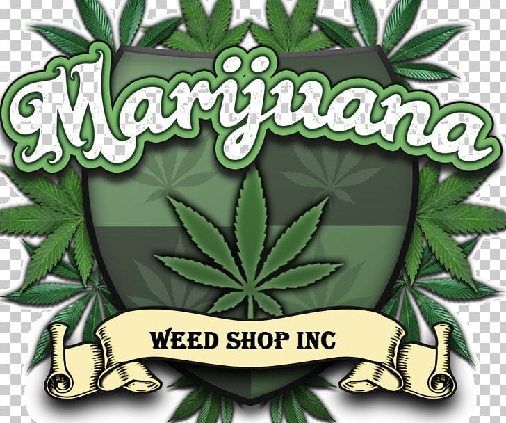 Medical Cannabis Hash Oil Cannabis Shop Dispensary PNG, Clipart, Cannabidiol, Cannabis, Cannabis Oil, Cannabis Shop, Dispensary Free PNG Download