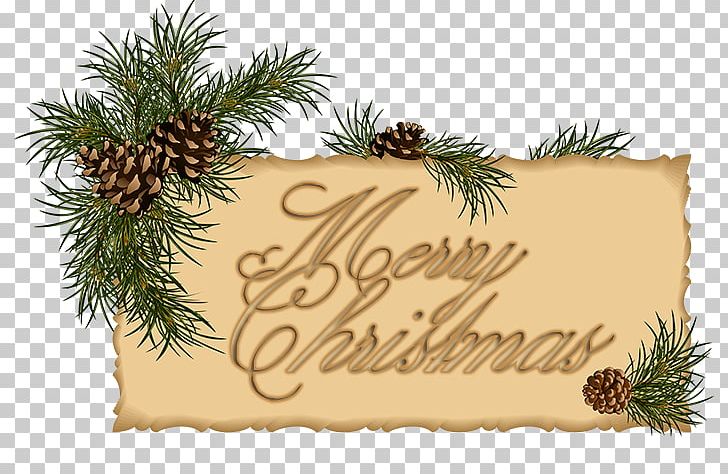 Christmas Ornament Santa Claus Christmas Card Christmas Decoration PNG, Clipart, Branch, Christmas, Christmas Border, Christmas Frame, Christmas Lights Free PNG Download