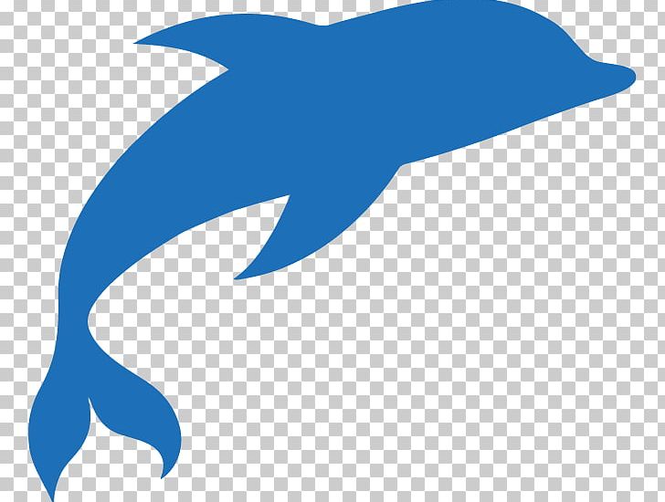 Common Bottlenose Dolphin Swimming Pool Tamarac Parkland PNG, Clipart, Algae, Area, Artwork, Beak, Blue Dolphin Free PNG Download