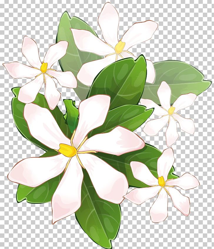 Frames Flower No PNG, Clipart, Branch, Cape Jasmine, Film Frame, Floristry, Flower Free PNG Download