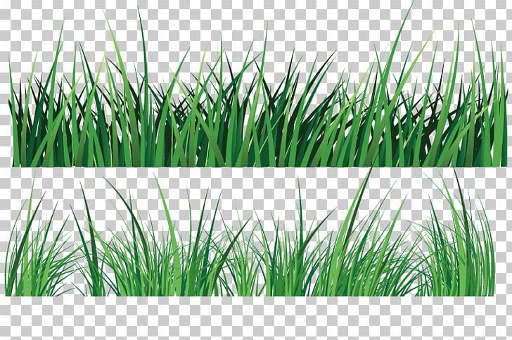 Green PNG, Clipart, Adobe Illustrator, Blue, Color, Encapsulated Postscript, Grass Free PNG Download