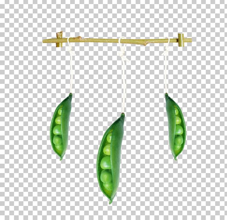 Angels Pea Frutti Di Bosco PNG, Clipart, Angels, Bean, Branches, Butterfly Pea, Butterfly Pea Flower Free PNG Download